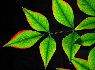 温暖的阳光