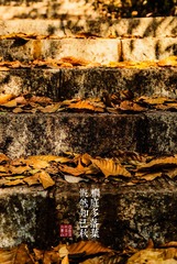 2C2A9630_LRPS