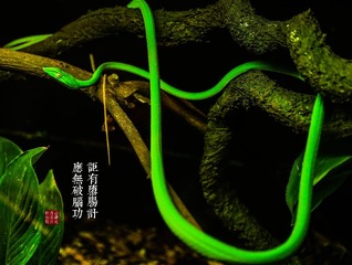 2C2A9939_LRPS