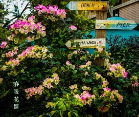 2C2A1533_LRPS