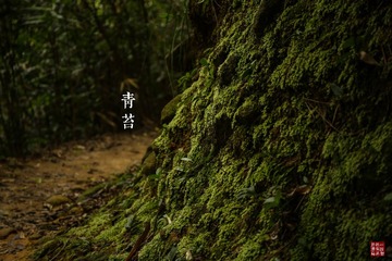 2C2A5228_LRPS