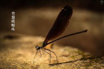 2C2A5899_LRPS