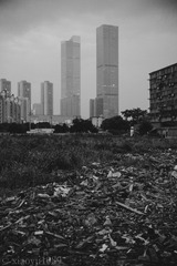 11931