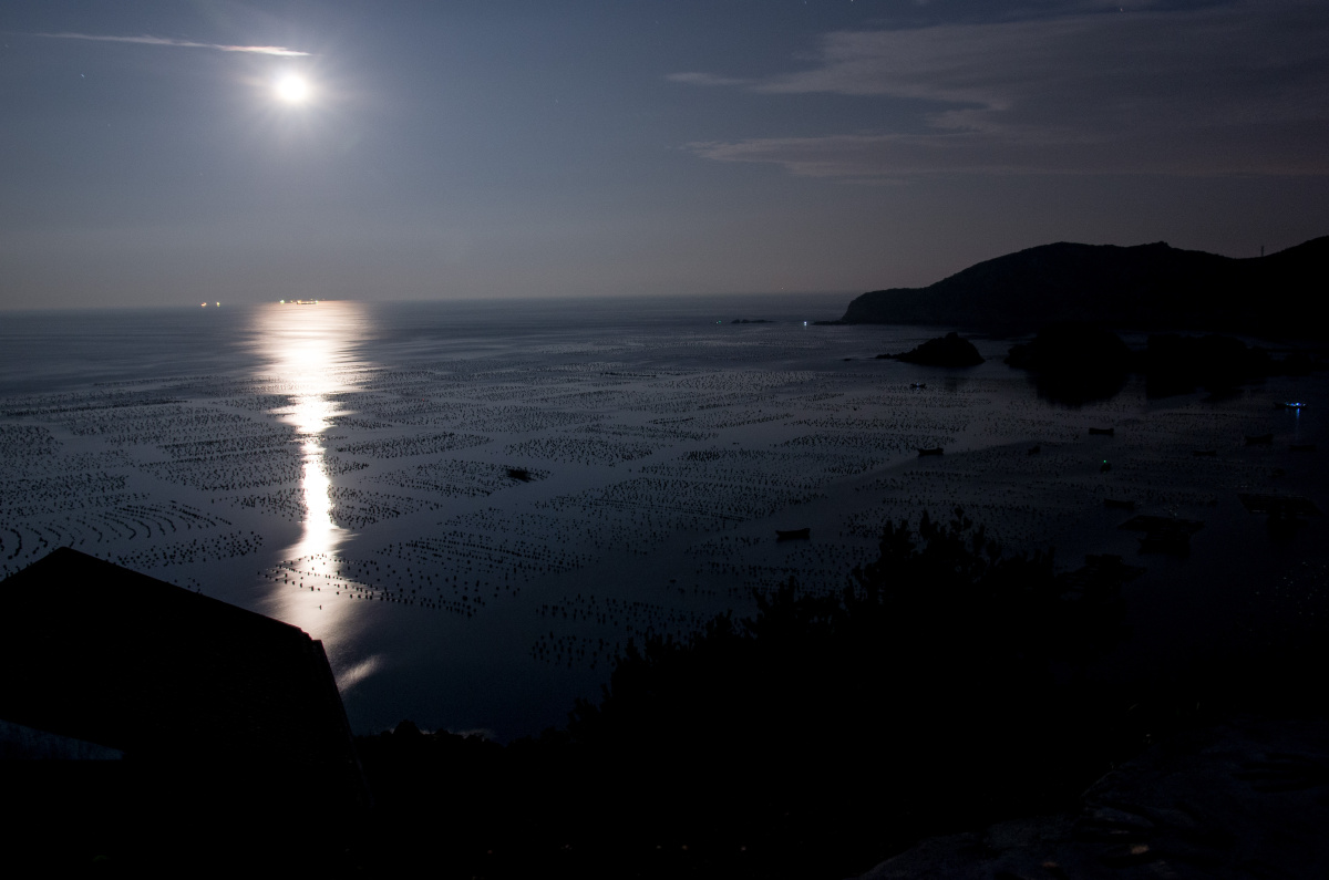 枸杞岛夜景