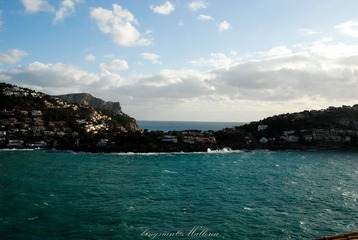 DSC_0099-38