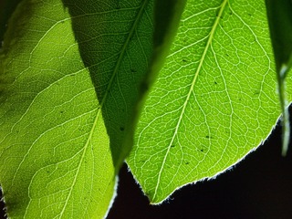 P3280371 (2)