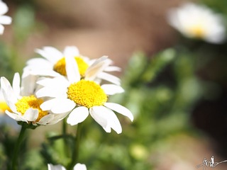P4050120