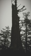 C360_2014-05-02-10-12-30-811