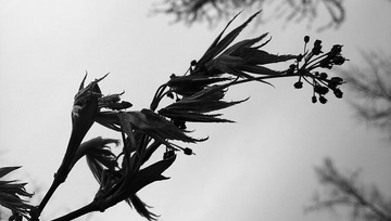 C360_2014-04-03-16-44-57-305