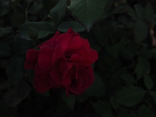 001