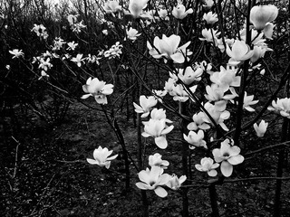 2013.2.22.jpg