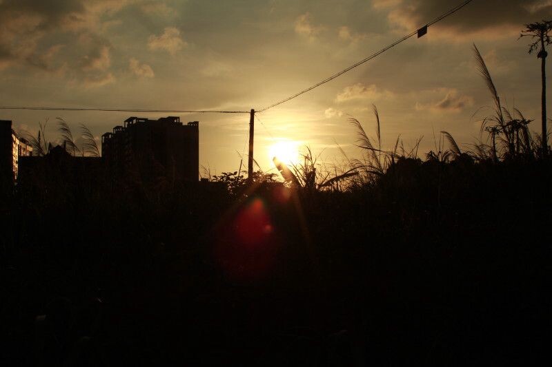 2013年的夏天