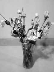 DSC06405-2