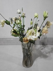 DSC06405-1