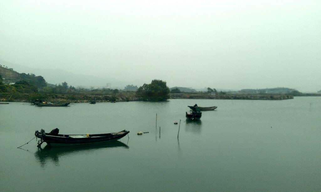 乡道的风景，凉凉的风。