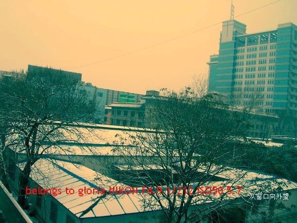 DSCN4714<br />
