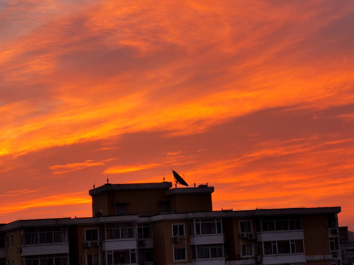 DSC_0311<br />
