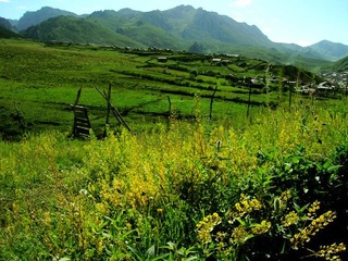 DSCN0651