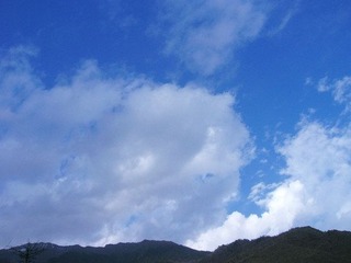 DSCN9986