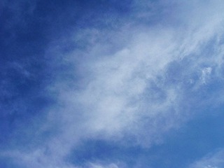 DSCN9985