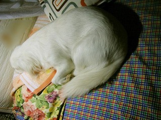DSCN0919