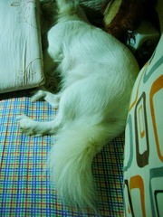 DSCN0903