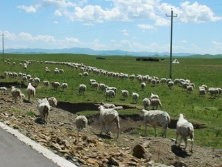 DSCN0754