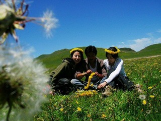 DSCN0733