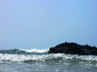 R0011048
