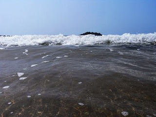R0011027