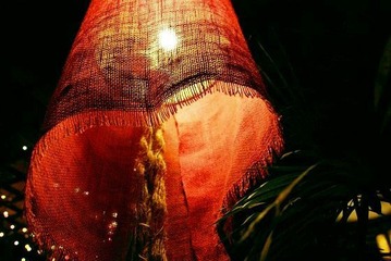 nEO_IMG_DSC_0537