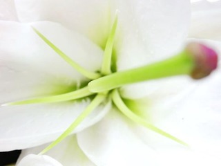 R0010245