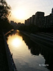 DSCN4594