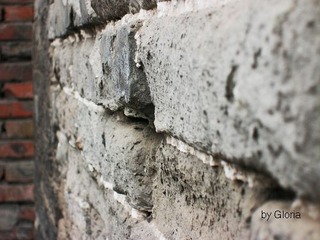 DSCN4390