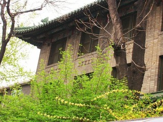 DSCN4374
