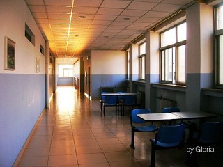DSCN4556