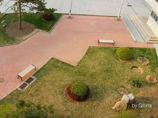 DSCN4555