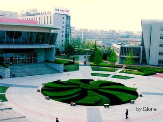 DSCN4553