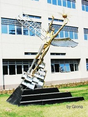 DSCN4529
