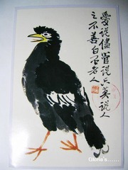 DSCN3395