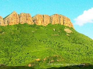 DSCN0622