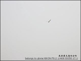 DSCN5501