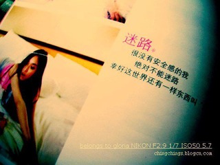 DSCN29242