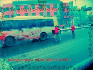 DSCN4705