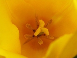 R0013609