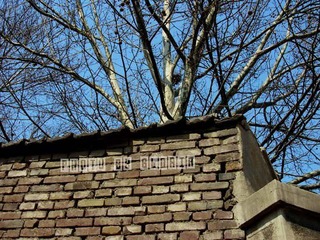DSCN9458
