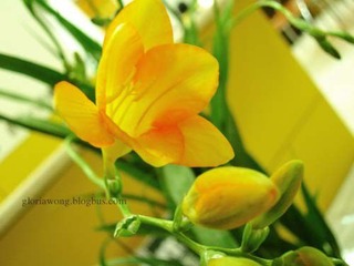 DSCN9375