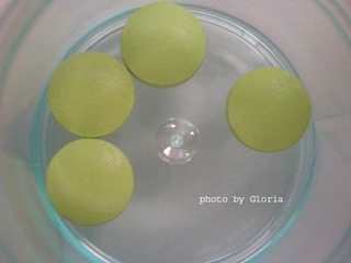 DSCN9355