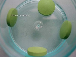 DSCN9352