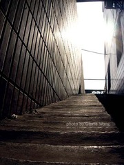 DSCN9217